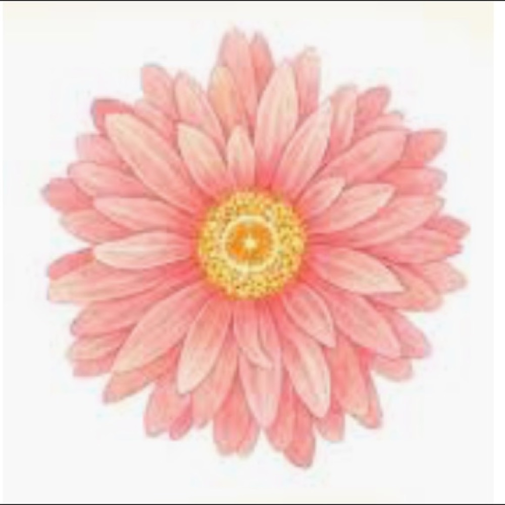 Meet your Posher, Giulia